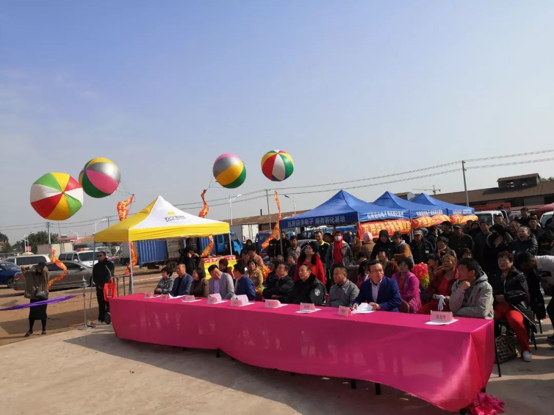 瓦房店地瓜价格,瓦房店地瓜几月份成熟