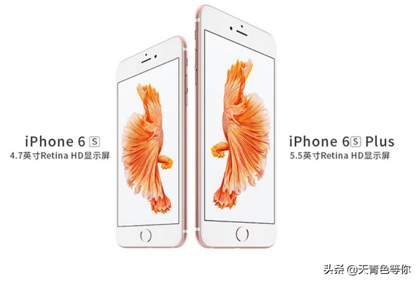 二手iphone深度测机,二手iphone水深