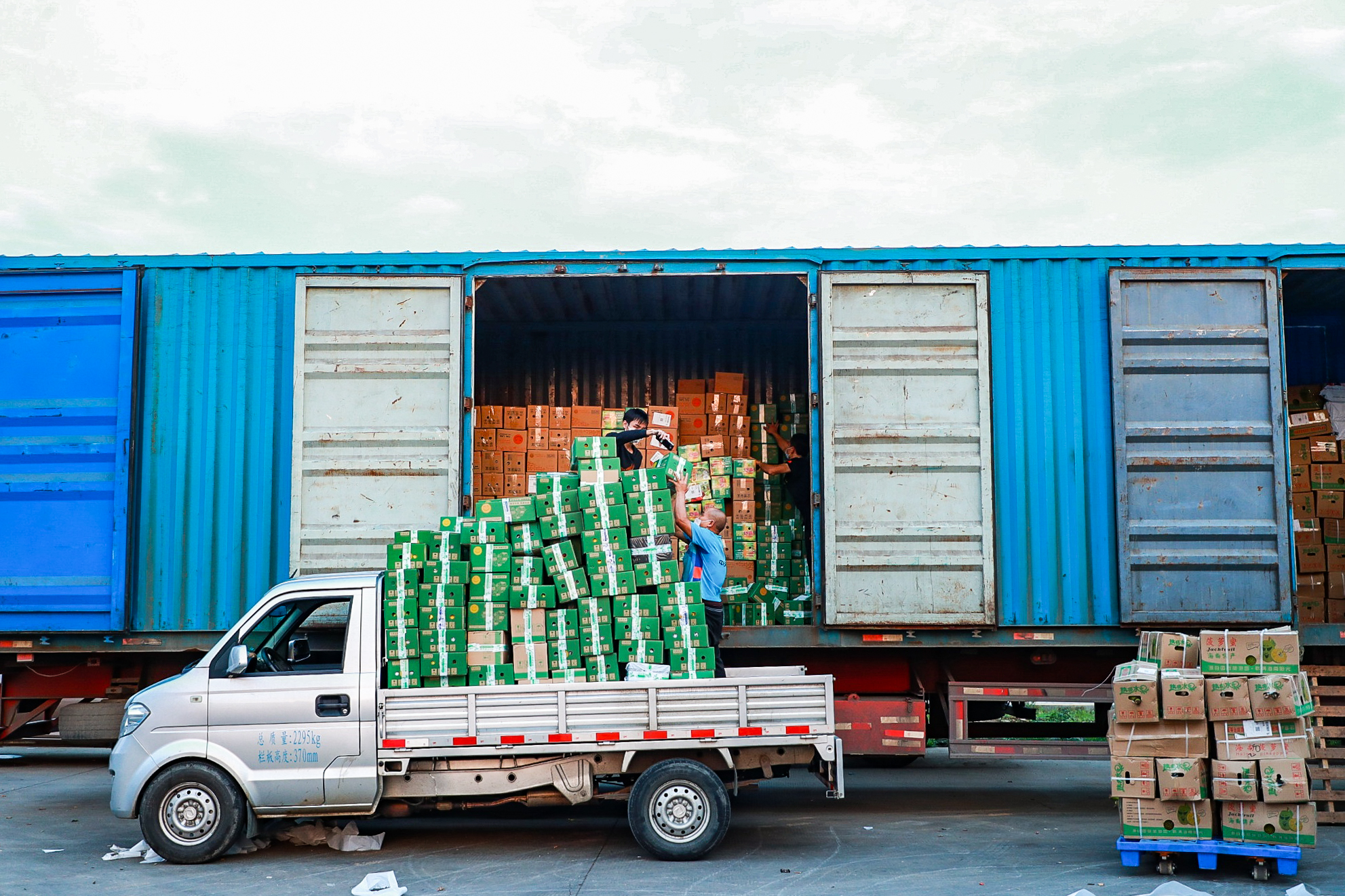 淘宝3天卖100万斤滞销农产品,农产品滞销电商平台来帮忙