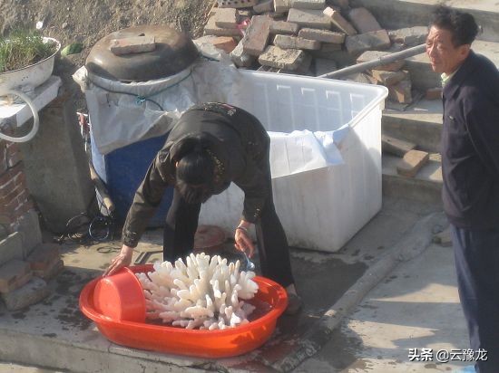 江苏吕四游：古镇海滨有风情