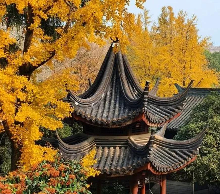 去南京鸡鸣寺是什么心态,鸡鸣寺为啥年轻人多