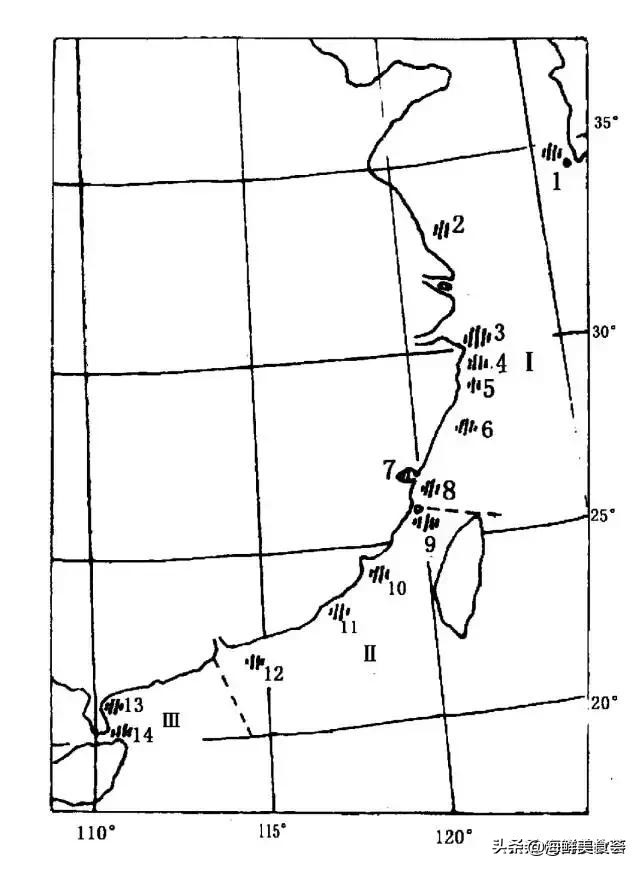 曾是四大海产之一,靠叫声互相识别,却被人类用噪声团灭