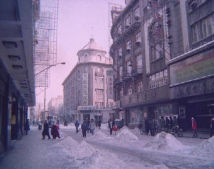 麦兜几岁,麦兜出生