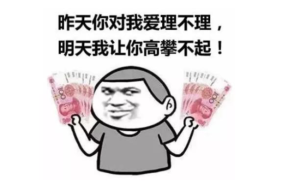 佛山会向高明发展吗,佛山高明镇发展前景