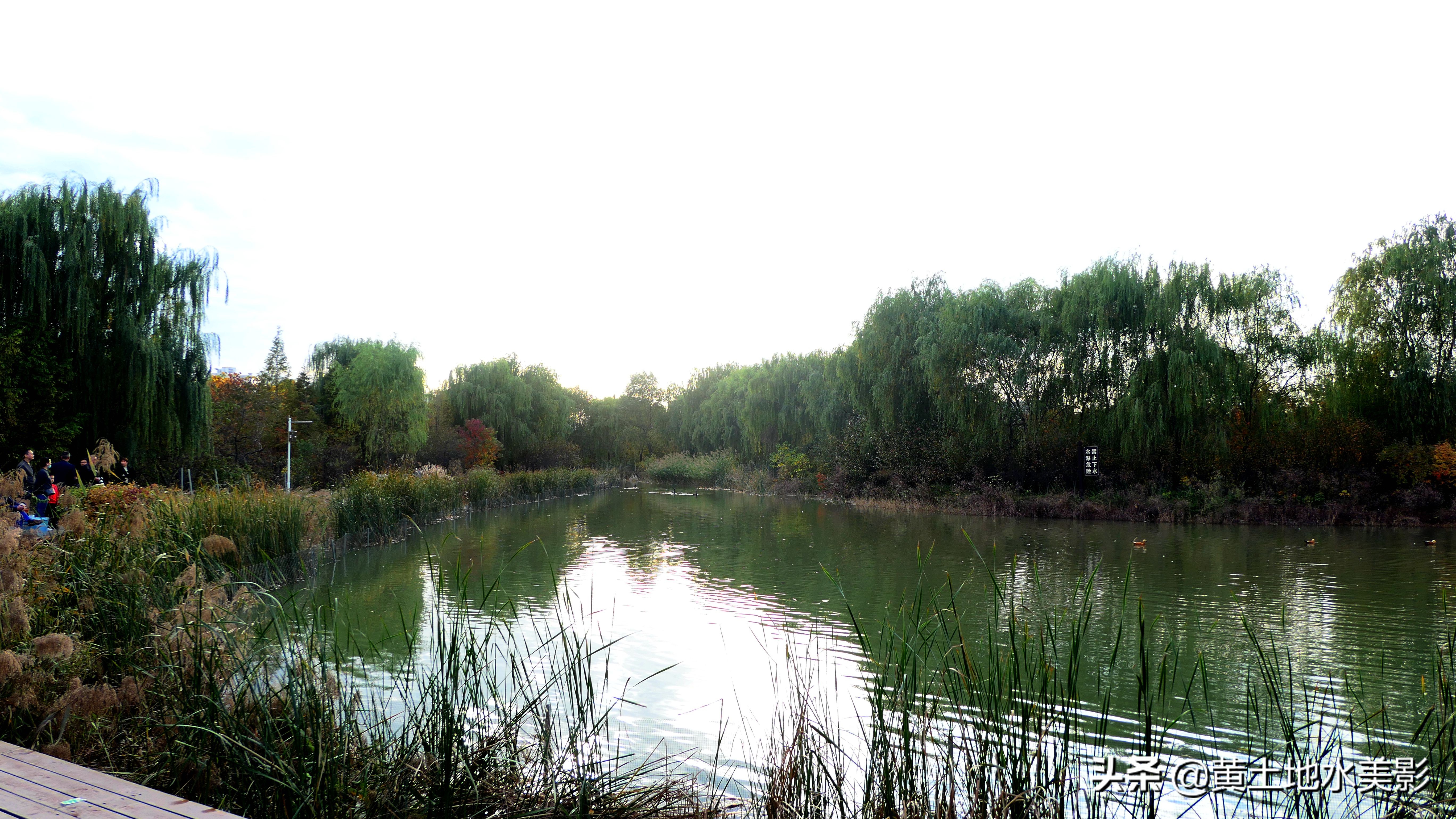 免费游玩东湖公园攻略,游玩国家湿地野鸭湖