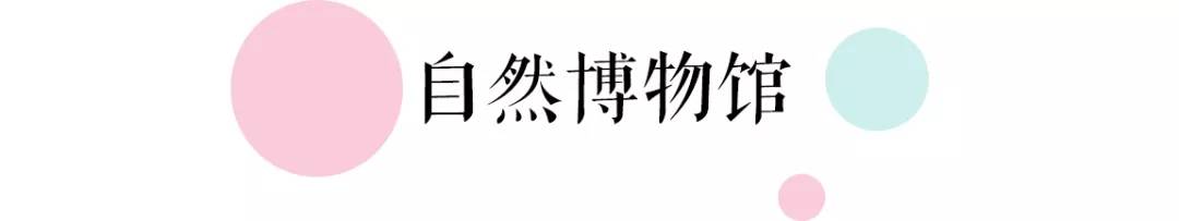 地铁14号线美食攻略,上海13号线地铁美食