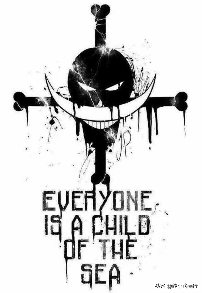 海贼王漫画叫什么名字,海贼王漫画名字跟动画的区别