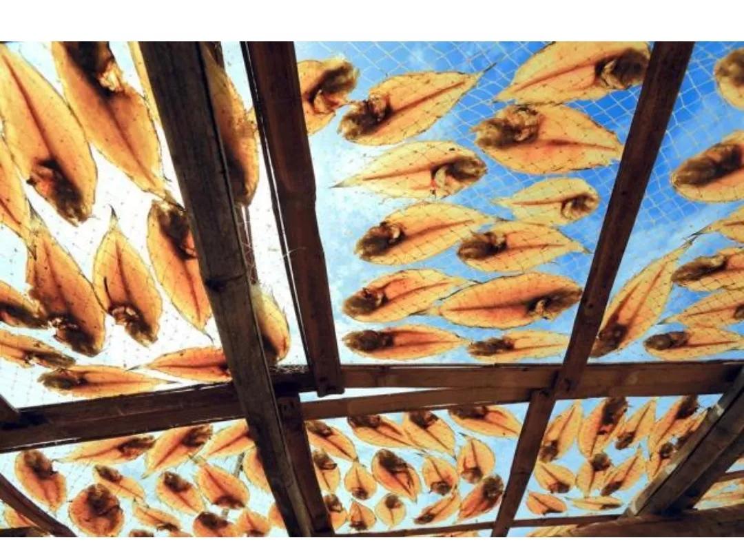 鱼干怎么晒没有苍蝇,怎样保证晒的鱼干不生虫