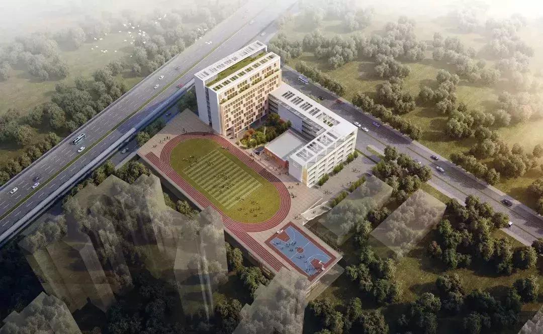 深圳龙岗区2018学位锁定的学校,深圳2025年小学学位紧张吗