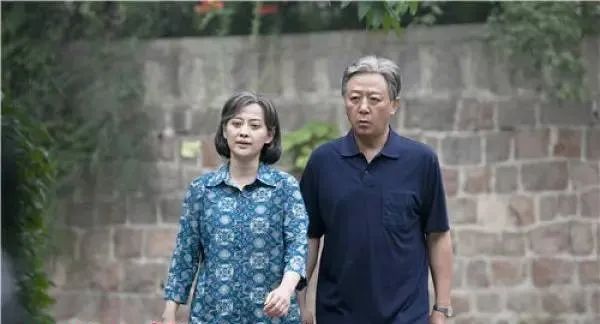 大江大河2齐名高分电视剧,大江大河第二部值得看的电视剧