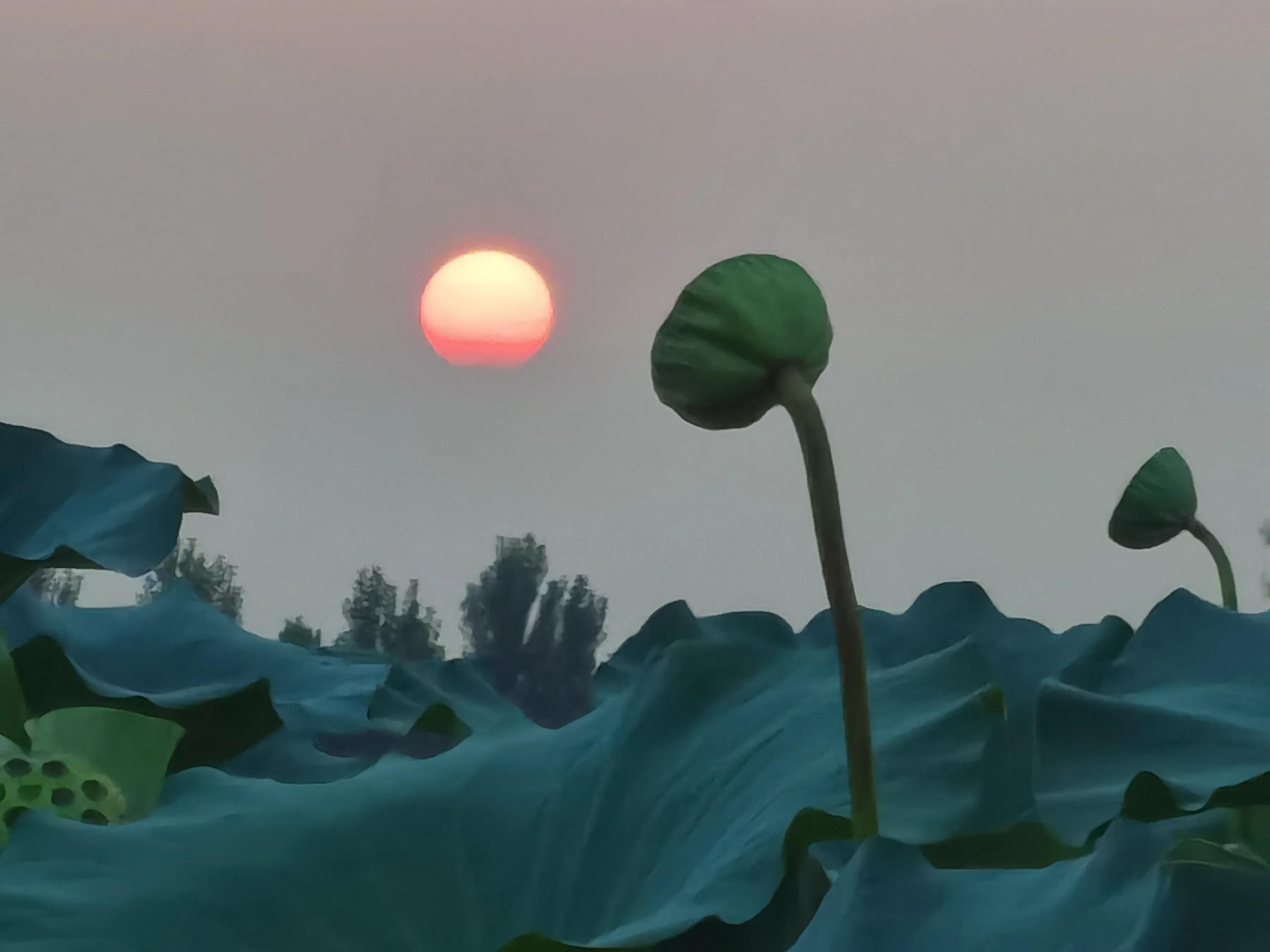 手拍世界投稿,手拍世界作品专集