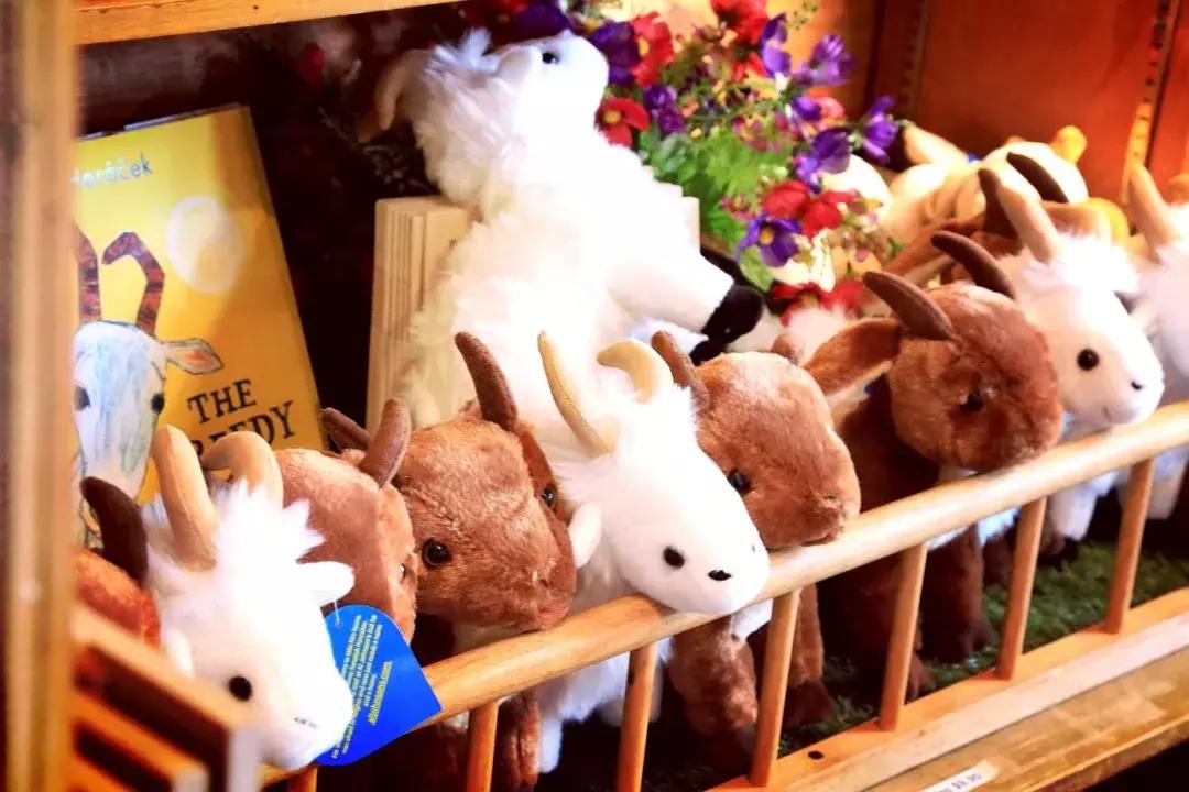 芝加哥南部旅游攻略图文,芝加哥附近旅游