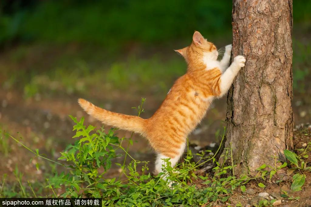 畅游北京5天费用,新版发行69元畅游北京70家景区