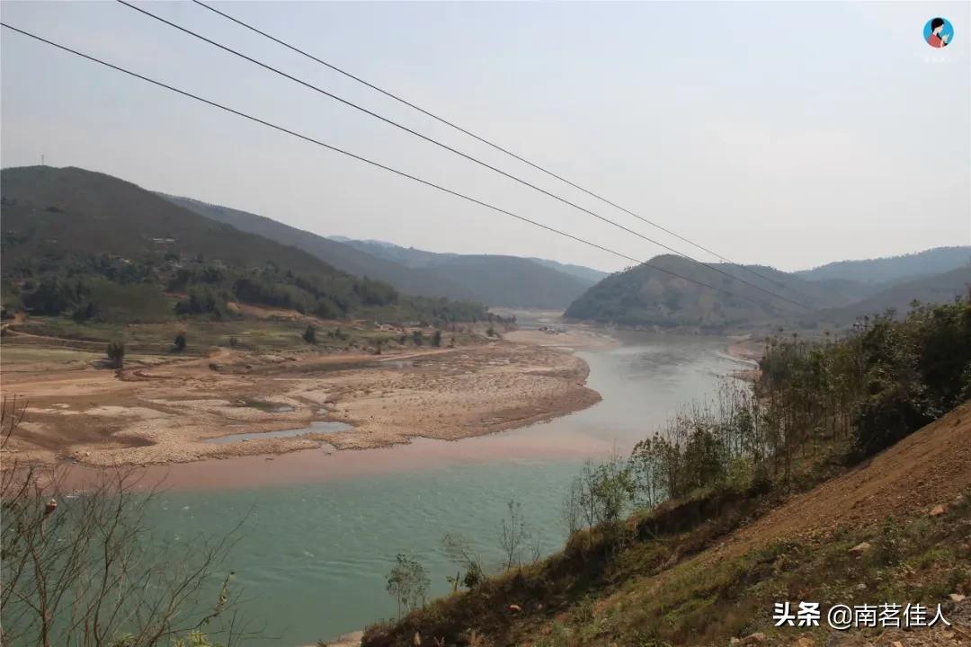 普洱茶的一级类目是什么,普洱茶一山一味的典型代表