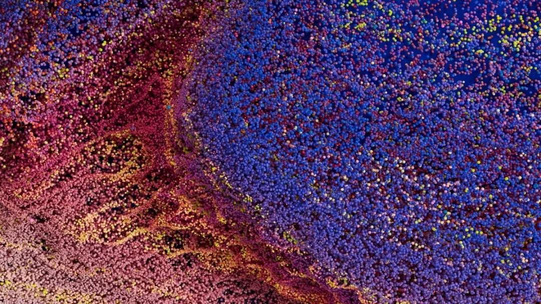 宜家黑科技曝光,宜家ikea黑科技