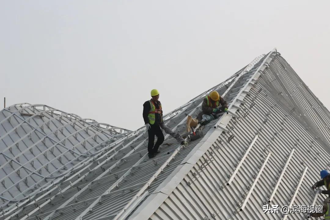 塘沽亲海开放了吗,天津滨海新区亲海公园能进吗