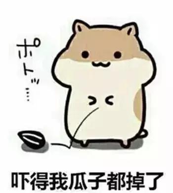 老干妈红油口红,老干妈辣椒油口红