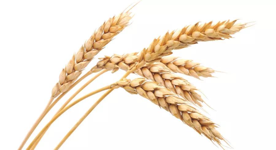 不发霉正宗实木菜板,菜板家用抗菌防霉网红双面菜板