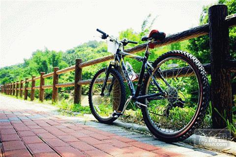 从化一日游最佳去处民宿,从化旅游线路攻略大全最新