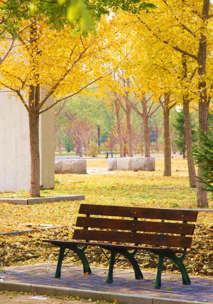 东北最强高校,东北最豪华大学图书馆