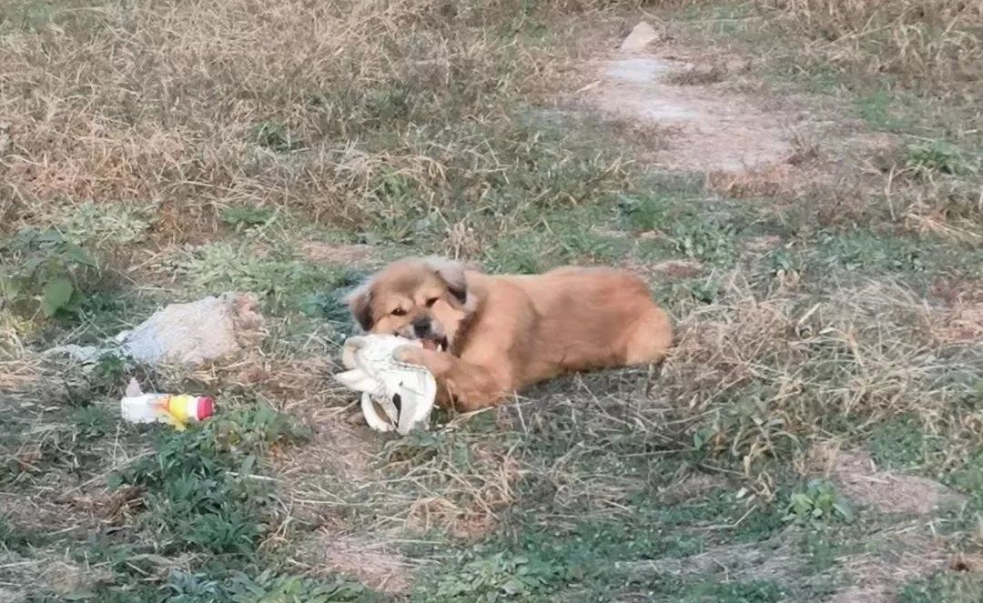 闉嬪瓙琚滃瓙琚埆浜哄伔,闉嬪瓙琚滃瓙琚伔