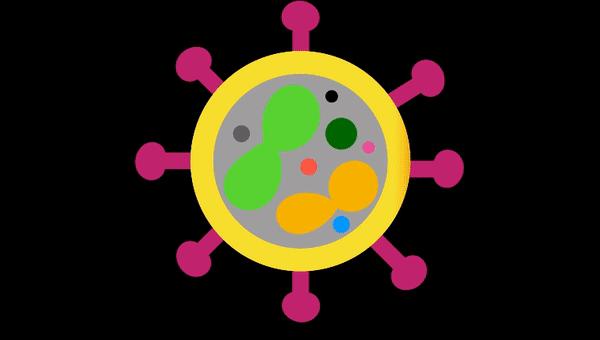 阿努纳奇创造人类,阿努纳奇的真实故事