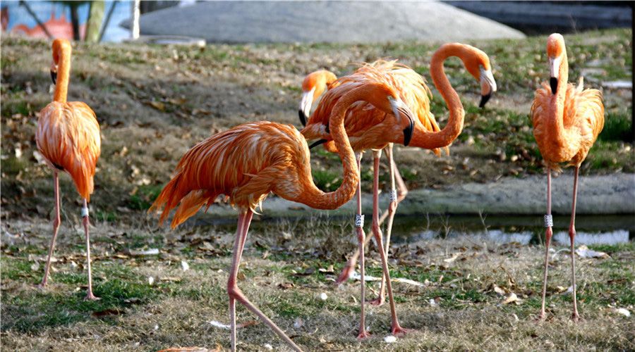 初中英语名词的用法归纳图,初中英语词组及用法大全