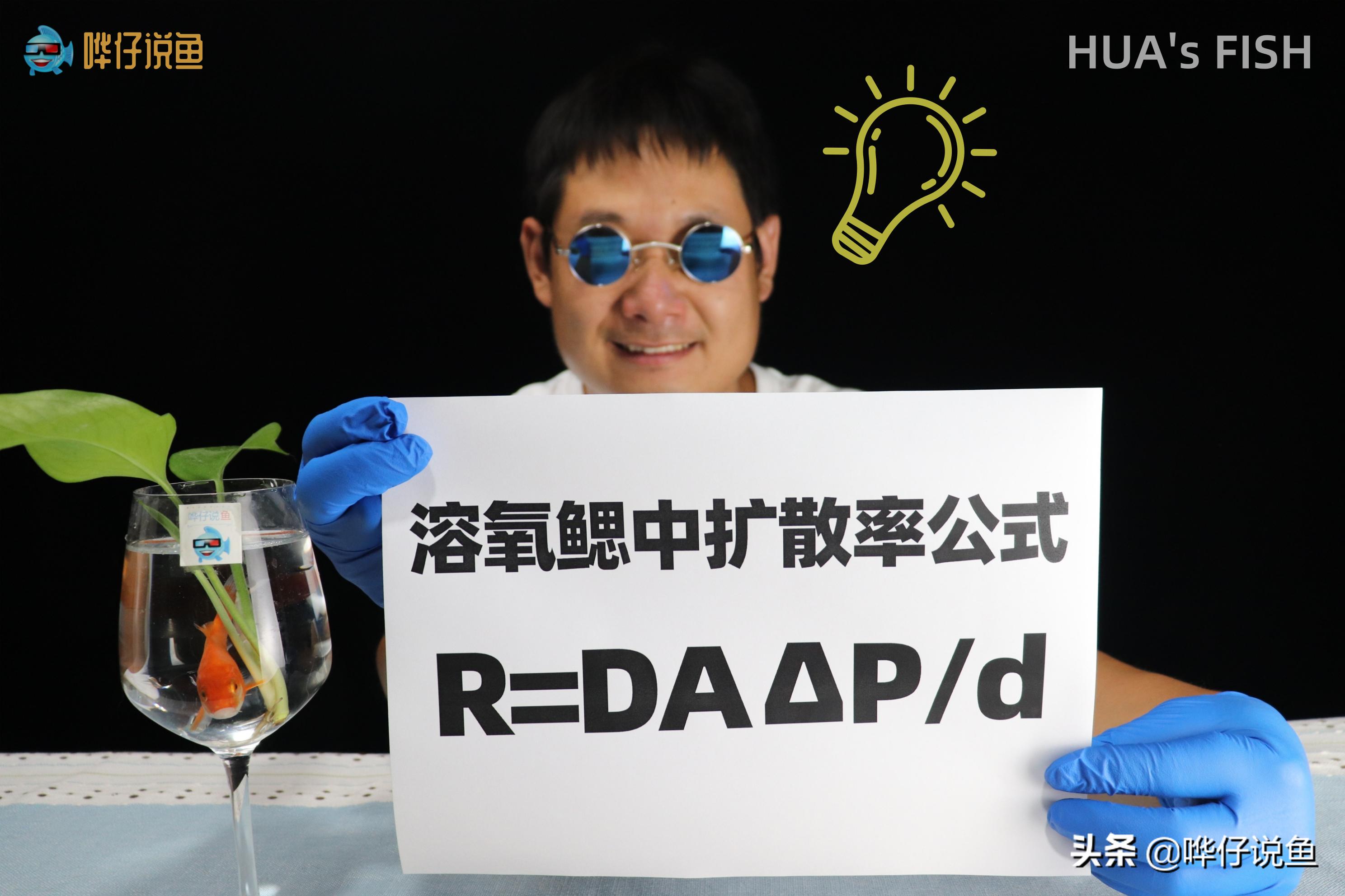 怎么判断观赏鱼是睡觉还是生病了,观赏鱼呼吸急促死亡是什么原因