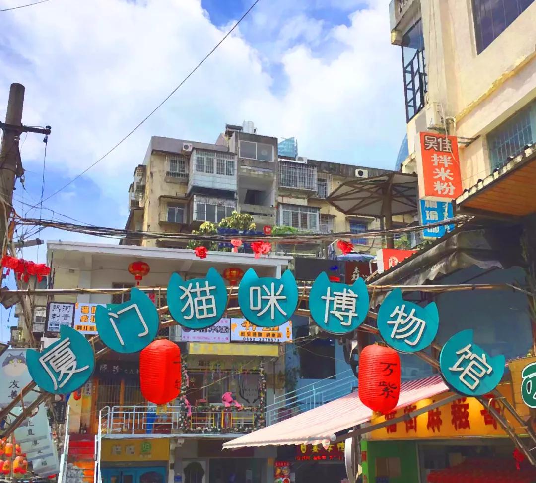 厦门海岸线咖啡网红打卡地地址,厦门观音山网红打卡地