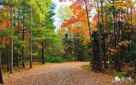 道家相学揭秘,道家玄学阴阳