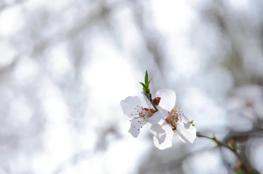 北京网红打卡地景点,北京美克美家网红打卡地