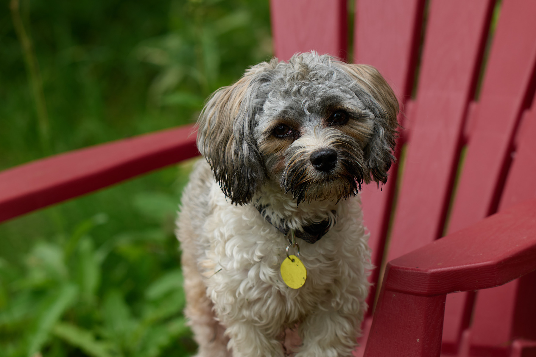 适马sigma60-600mm拍月亮,适马sigma18-50mmf2.8dcdn测评
