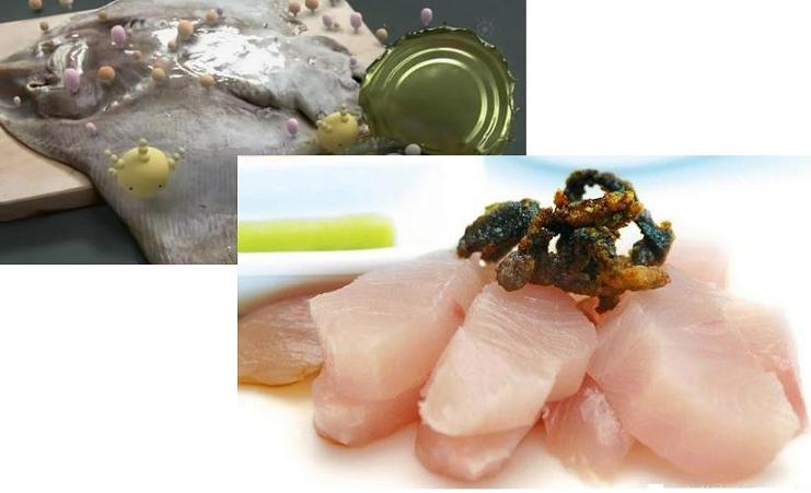 世上公认特脏的这9种鱼,世界上公认的五种最脏的鱼