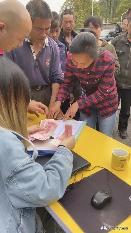 网上卖的假果树苗,假果树苗骗局揭秘