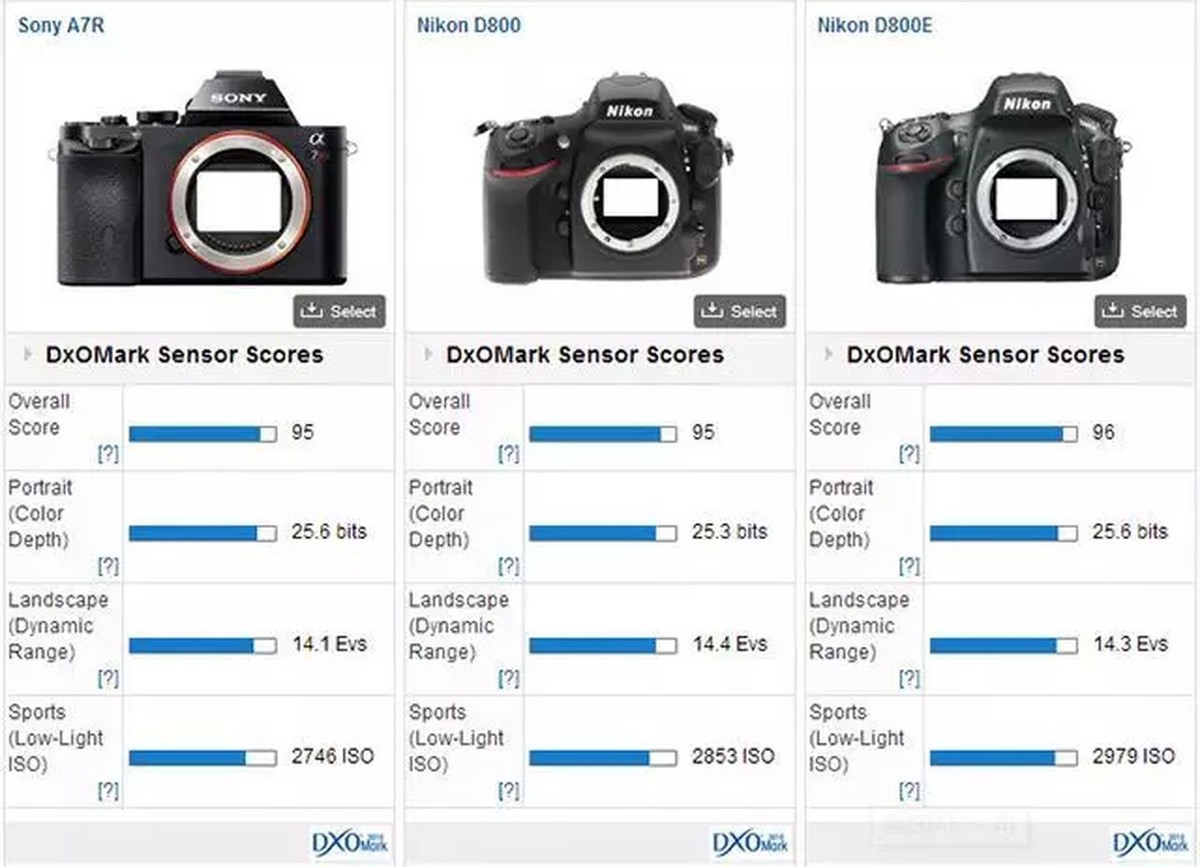 这几年的变化合集,索尼a7r3和尼康d810