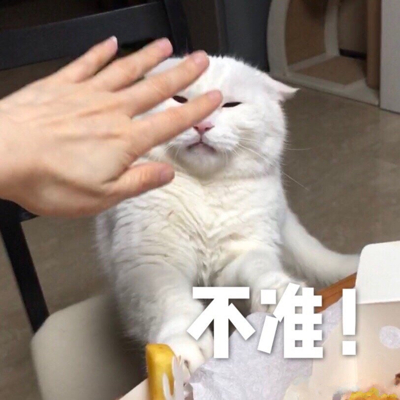 年纪轻轻脑子不好使表情包,年纪轻轻看什么湖人表情包