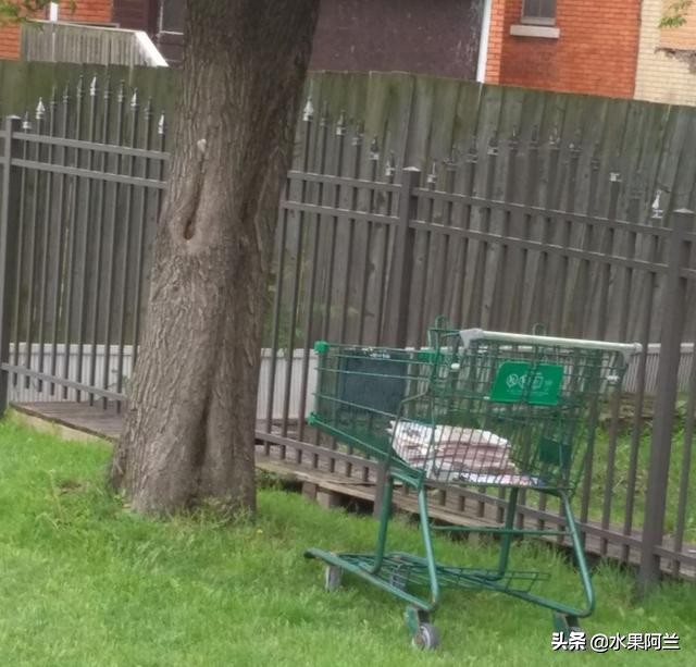 新西兰旅游攻略租车,加国自驾游攻略