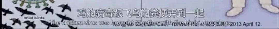 张文宏为什么被称为硬核医生,上海医生张文宏又爆金句