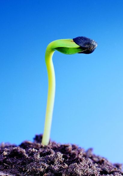 自体细胞免疫治疗联合体外电磁波热疗治疗晚期实体瘤的临床护理