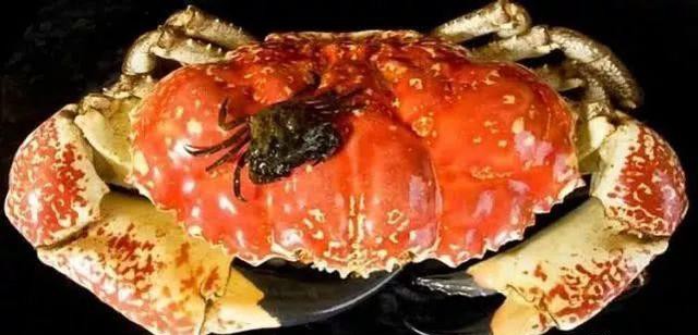 哪种海鲜的味道最鲜美,世界上最鲜美的海鲜