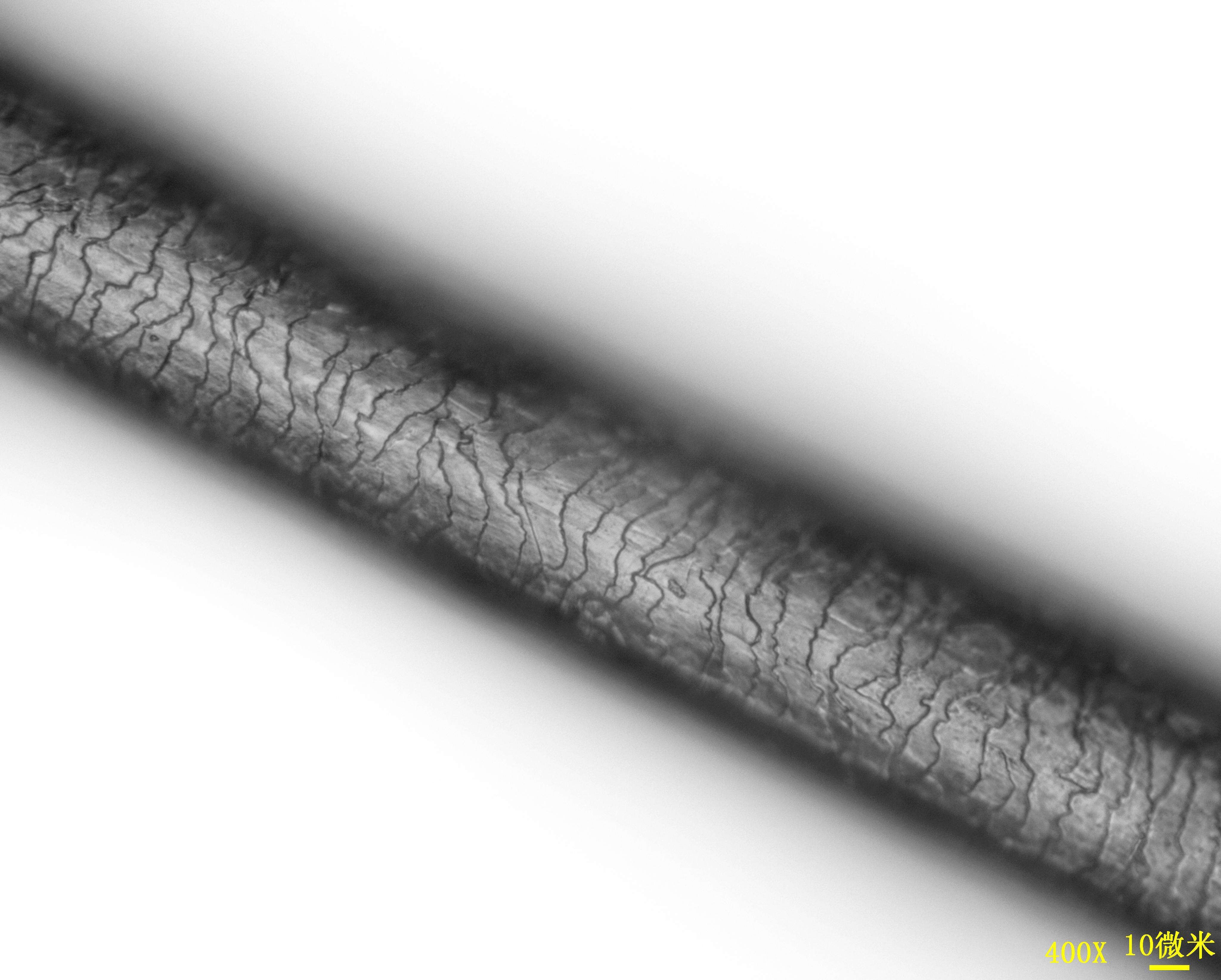 头发养护基础篇：史上最全洗头教程，告诉你如何正确的洗头