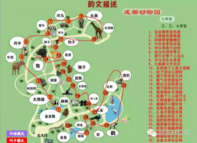 干货国语版,干货满满的背诵知识