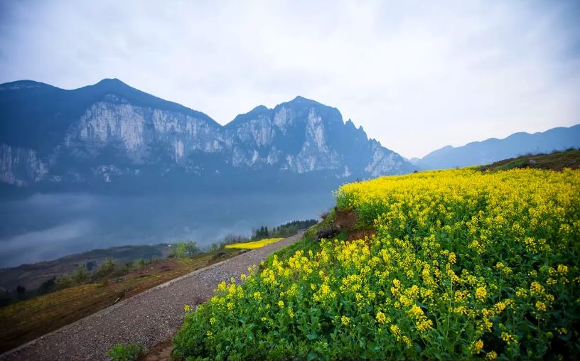 国庆七天要去哪里玩啊,国庆节七天怎么过不能出去玩