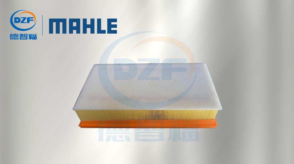 鏄ユ殩鑺卞紑鏂板搧,鏄ユ殩鑺卞紑鏄ユ涓婃柊