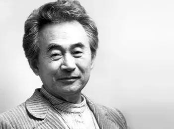 不发黑的雪平锅,适合家庭用的雪平锅