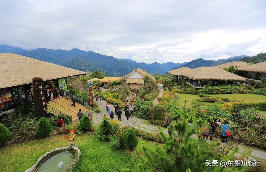 去台湾为什么要走三亚,去台湾看阿里山