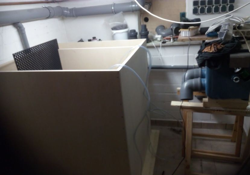 自己做大型水陆缸,在家自己打造一个沙漠缸