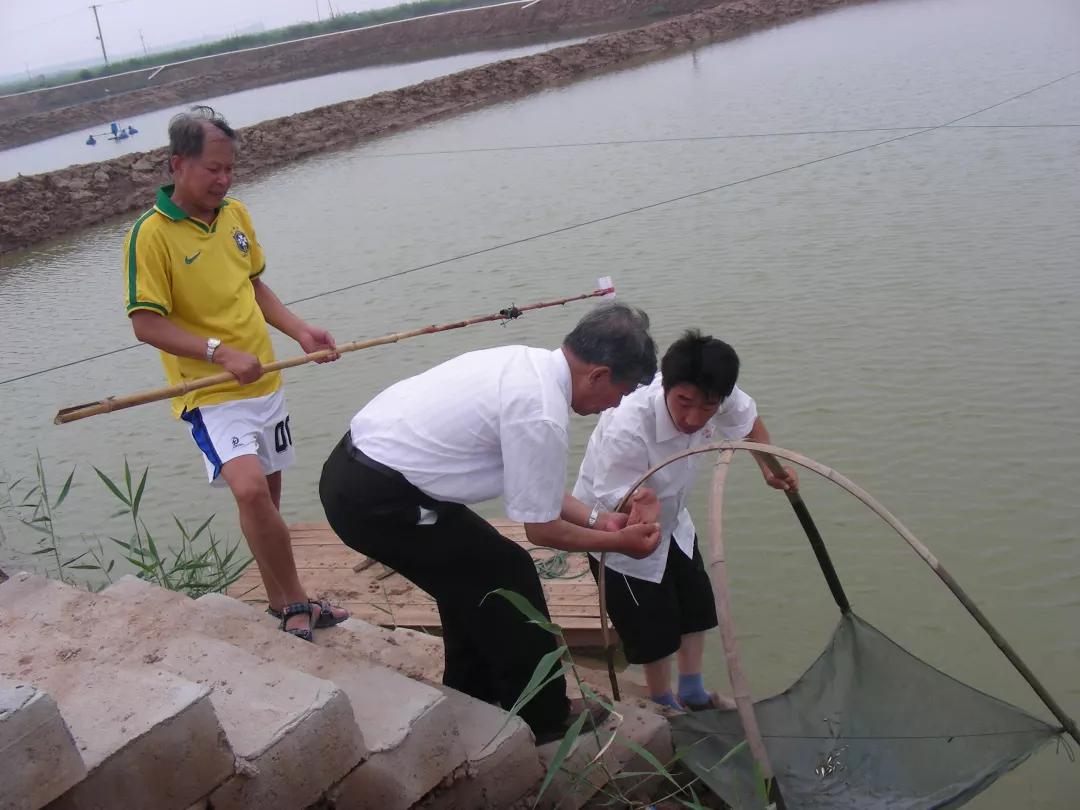 虾类常见疾病及治疗方案图片,虾病用药大全