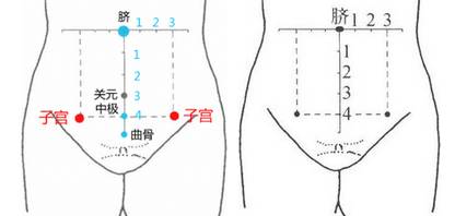 这个方子和穴位，专调肌瘤与囊肿，可惜知道的人太少了