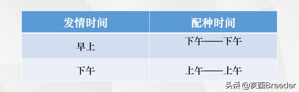 母猪发情鉴定及最佳配种时间判断，养母猪必会发情鉴定和适时配种
